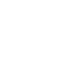 Kiaga Global Solutions (KGS)
Transformamos contenedores en soluciones innovadoras